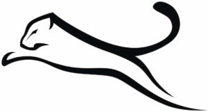 Jugend – Logo Ahrensburger Panther