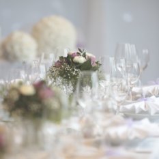 Festessen im Club